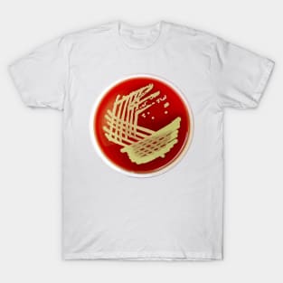 Bacterial Culture Streaks E.coli Petri Dish in Microbiology Lab Gold Red Yellow T-Shirt